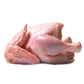 Kurczak