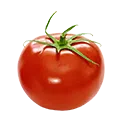 Pomidor