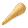 Pasternak