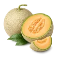 Melon